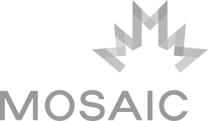 MOSAIC-logo-big-F-1024x597-2-300x175